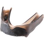 Shock Doctor Аксессуары в черном цвете - фото