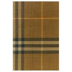 Шарф с бахромой Checked Burberry - фото 3