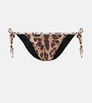 Плавки бикини с леопардовым принтом DOLCE&GABBANA, коричневый - фото