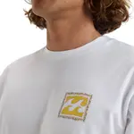 Футболка мужская Billabong Crayon Wave, белый - фото 5