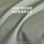 LUOLAI HOME Простыня 150 см (пододеяльник 200x230 см) - фото 3