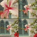 Фильтр Tiffen 58mm Close-up Lens Set 58CUS - фото 3