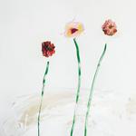 Диск CD N°3 - Dot Hacker - фото