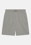 Шорты YOUTH MAPLETON UNISEX Dickies, цвет heather gray - фото