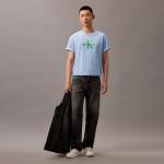 Футболка SS25 мужская Calvin Klein, серый - фото 6