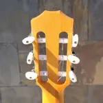 Taylor-guitars Гитара Taylor Academy 12e-N с нейлоновыми струнами - фото 7