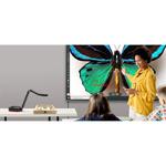 QOMO WanderCam Pro UHD 4K Document Camera QPC100W - фото 6