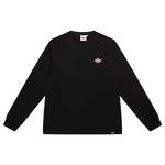 Dickies Мужская футболка, черный - фото