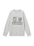 Толстовка Champion Authentic Athletic Apparel, серый - фото