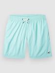 Пляжные шорты O'Neill Vert 14 Kids Boardshorts, beach glass - фото