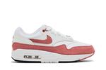 Кроссовки Nike Wmns Air Max 1 '87 'Canyon Pink', розовый - фото 2