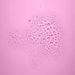 Shake Fix Glow - спрей для фиксации макияжа Catrice, 50 мл - фото 2