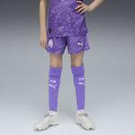 PUMA Шорты для тренировок Regular 'Olympique de Marseille 25/26' в цвете Purple, Lilac - фото 3