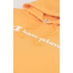 Толстовка с капюшоном Champion, цвет apj os041 - фото 4