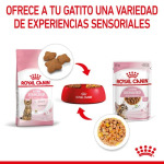 Стерилизованное желе для котят Royal Canin 85 гр Royal Canin - фото 5