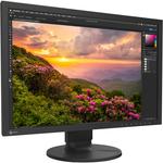 Монитор EIZO ColorEdge CS2400S 24,1 дюйма - фото