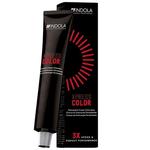XpressColor 6.65 60мл Indola - фото