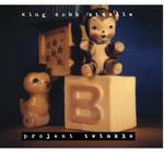 CD диск King Cobb Steelie: Project Twinkle - фото