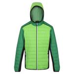 Мужской пуховик Regatta, зеленый/темно-зеленый - фото