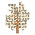 Dream a Tree, развивающая игра, LONDJI - фото 4