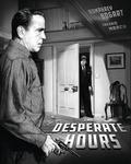 Диск Blu-ray The Desperate Hours [1955] - фото