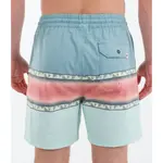 Шорты для плавания Hurley Phantom Naturals Cannonball Volley 17´´, синий - фото 2