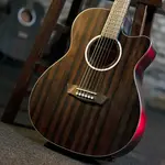 Washburn Deep Forest Ebony ACE - фото 9