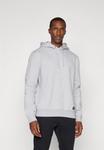 Худи Björn Borg CENTRE HOODIE, Light Grey - фото
