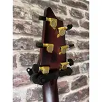 Концерт Breedlove в Орегоне Sburst - фото 10