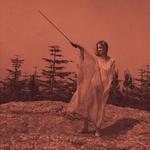 Диск CD II - Unknown Mortal Orchestra - фото