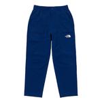 Детские штаны THE NORTH FACE, синий - фото