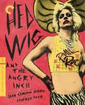 Диск Blu-ray Hedwig & The Angry Inch [Criterion] - фото