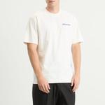 Футболка Стейтсвилля Dickies, Egret - фото 2