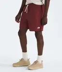 Мужские шорты Action 2.0 The North Face, Sumac - фото 4