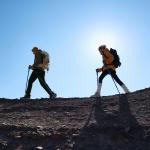 Wolf Paw Уличная куртка унисекс Jack Wolfskin, Черный/6000 - фото 38