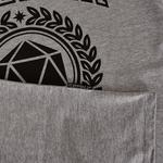 Футболка Roleplay Academy серая - фото 4