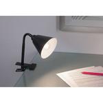 Настольная лампа Paulmann Vitis - фото 3