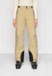 Лыжные брюки Oakley CANOPY INSULATED PANT, Pebble/Beige - фото