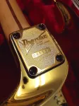 Ibanez JS2GD Джо Сатриани Signature Gold Boy - фото 15
