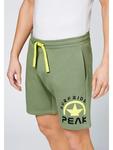 Тканевые шорты Chiemsee Shorts, зеленый - фото 4
