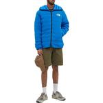 THE NORTH FACE Мужская куртка, цвет Blue - фото 2