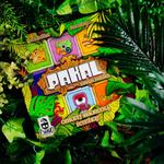 Пакаль, настольная игра, Cranio Creations - фото 2