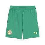 Шорты PUMA Regular Workout Pants Senegal 2025, зеленый - фото
