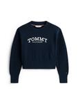 Свитер TOMMY HILFIGER, темно-синий - фото