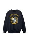 Толстовка Хаффлпаффа Harry Potter, черный - фото 2