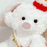 Birthday Party Bunny Dolls Plush Doll 40cm Height Brangdy - фото 6