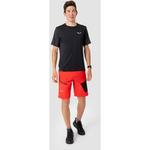 Шорты pedroc 3 dst m cargo shorts Salewa, мультиколор - фото 3