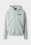 Толстовка Dickies BOLIVAR HOODIE, Grey/Mottled Grey - фото 5