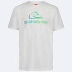 Футболка для мальчиков 8-20 blend surf Quiksilver, White - фото