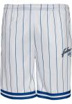 Шорты Retro Pinstripe FUBU, бело-синие - фото 5